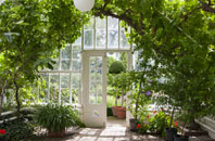 free Punnetts Town orangery quotes